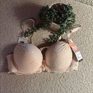 NWT Rene Rofe Lace Padded Bra in Cream